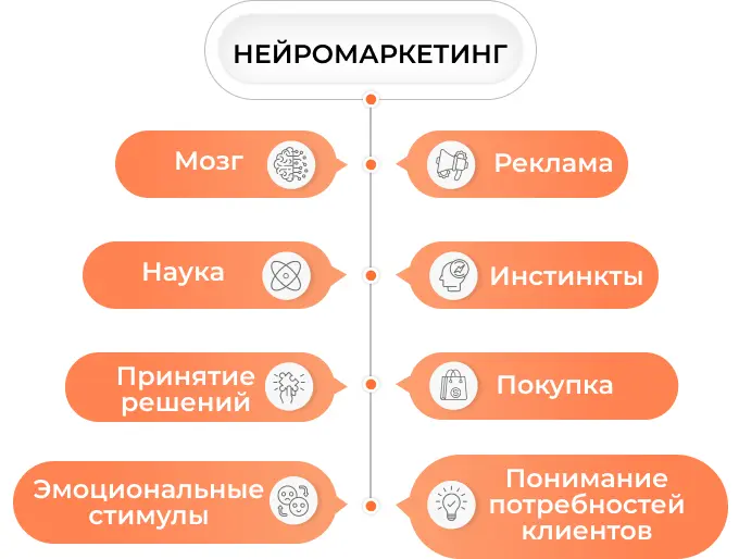 Составляющие нейромаркетинга