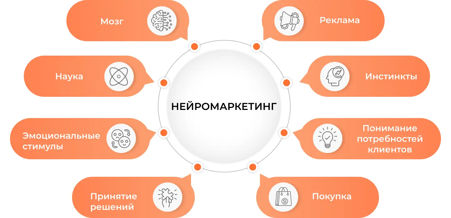 Составляющие нейромаркетинга