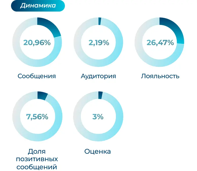 Мониторинг упоминаний: результаты кейса