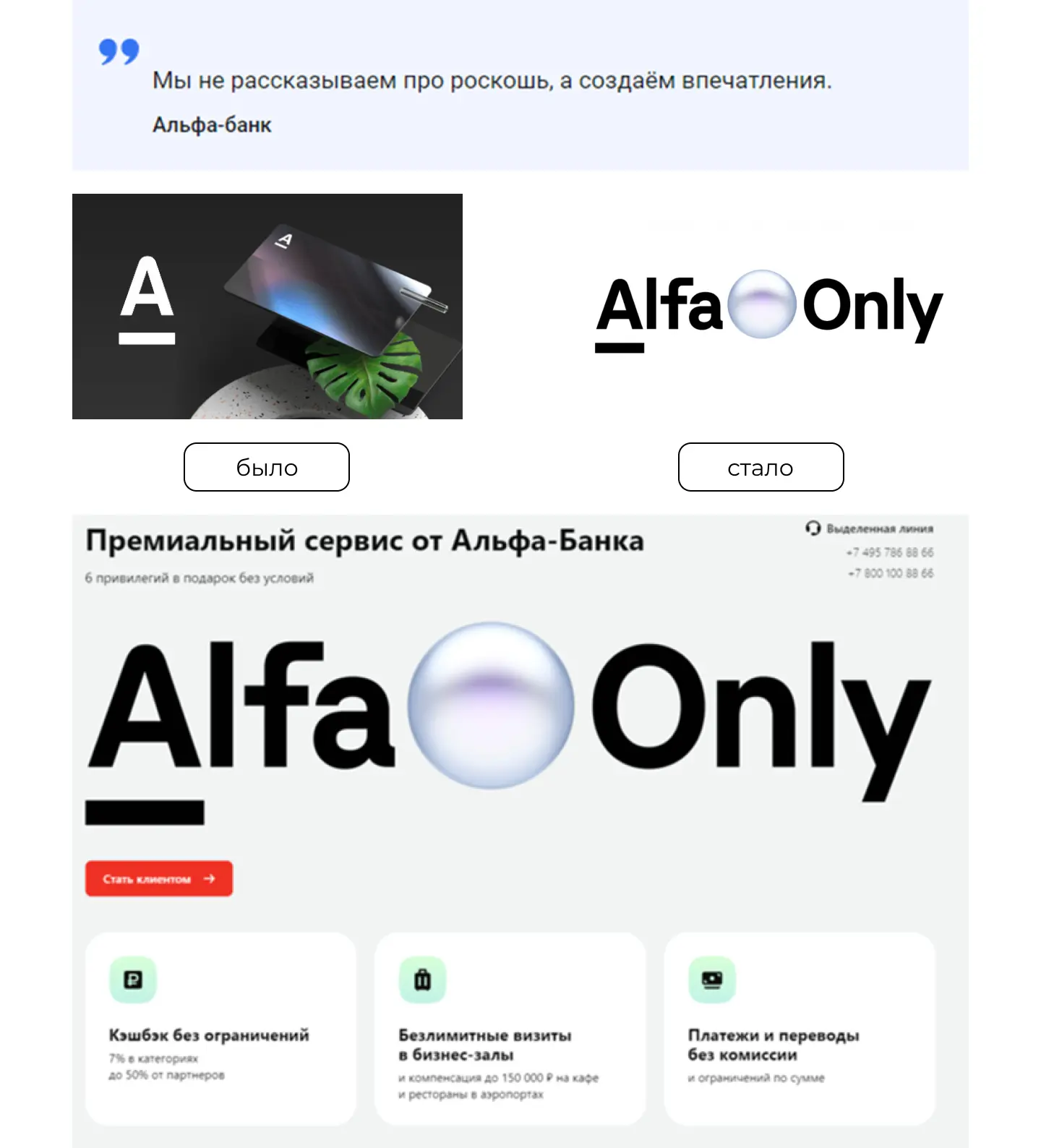 Ребрендинг 2024: Alfa Only