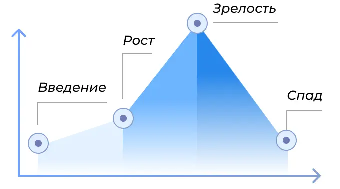 Жизненный цикл продукта