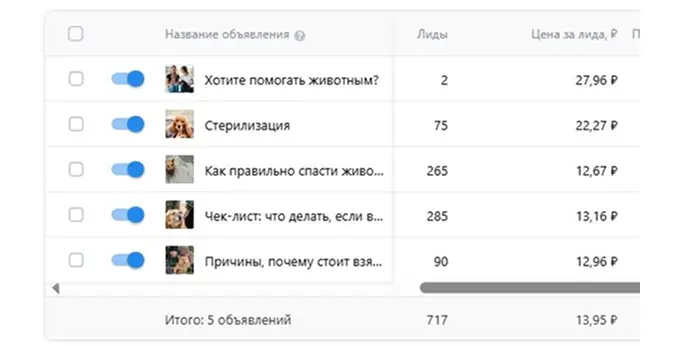 Результаты рекламной кампании приюта для собак