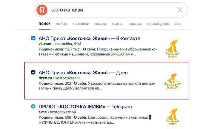 Место канала в “Дзене” в поисковой выдаче по брендовому запросу