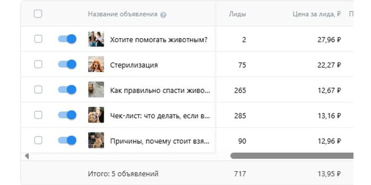 Результаты рекламной кампании приюта для собак