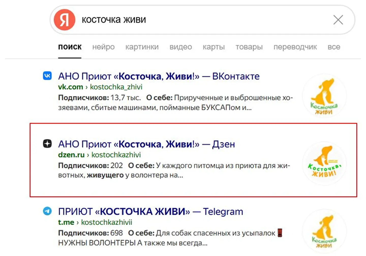 Место канала в “Дзене” в поисковой выдаче по брендовому запросу