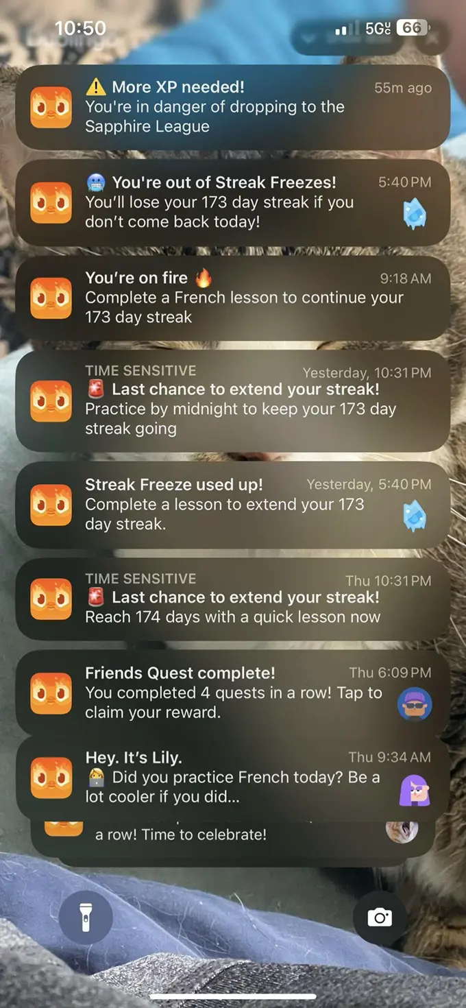 Серия пушей от Duolingo