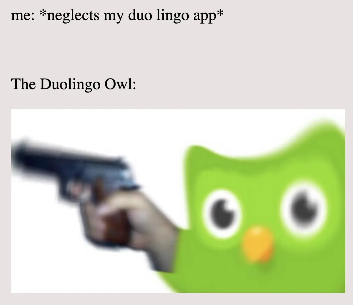 Мем, с которого началось формирование репутации злой совы Duolingo