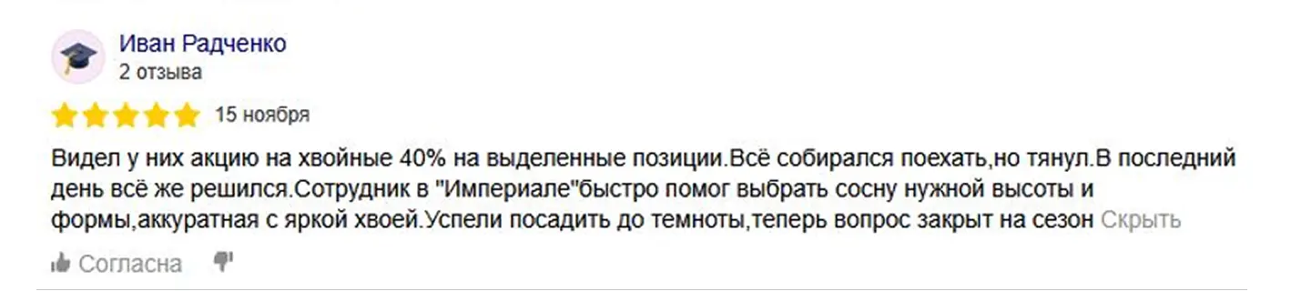Пример позитивного отзыва о ландшафтной компании