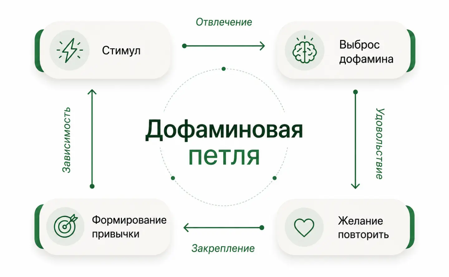Как выглядит дофаминовая петля