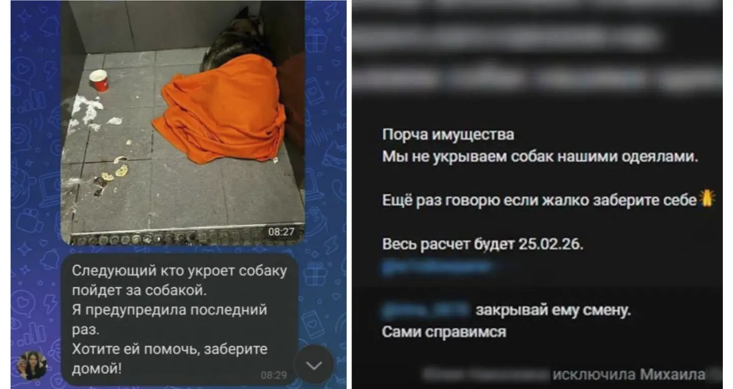 Скандал с “Додо Пиццей”, в которой уволили курьера